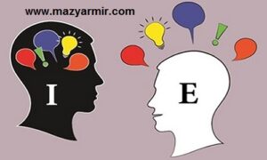 درونگرا برونگرا